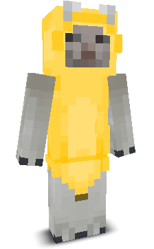b0b3r002's skin