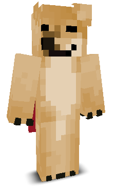SPACE_DOGE555's skin