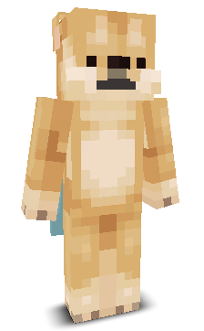 MaksXcool's skin
