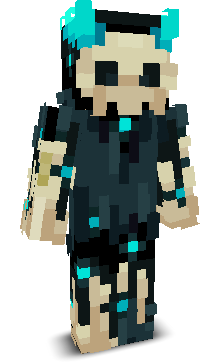 changeusername11's skin