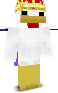 HackingIsFunXD's skin