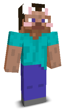 V0yb's skin