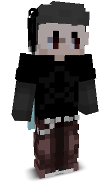 schicht's skin