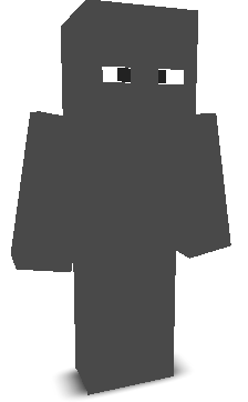 BasixNa's skin