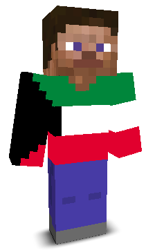 iRuuy's skin