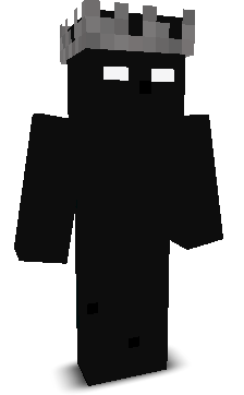 NIGHT7RIDER's skin