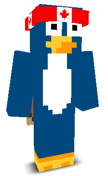 Teletoon's skin