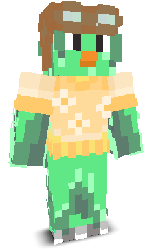 topdonk21's skin