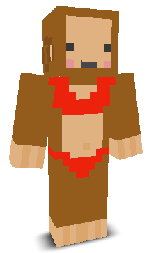 aAronkaDonk's skin