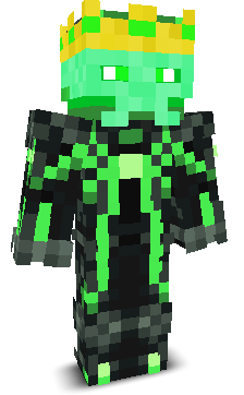 Ac1d_l0rd's skin