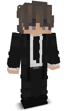 RobinPlayer10's skin
