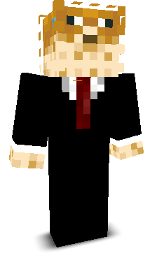 _Virgi's skin