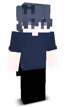 Blockiee's skin