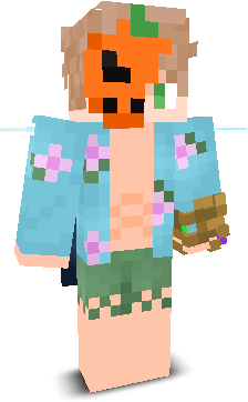 Airlast's skin