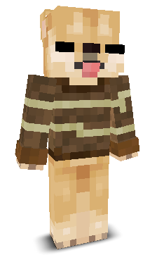 checkra1n___'s skin