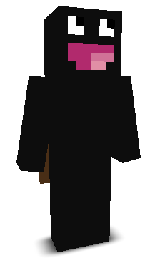 0xsj's skin