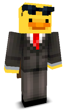 MR_DUCK111's skin