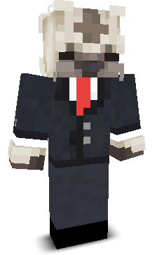 GAMER8356's skin