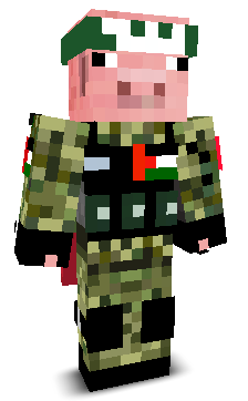 Z0MAG's skin