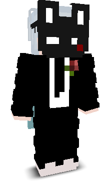 Witxz's skin