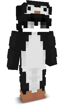 FideiSilentium's skin