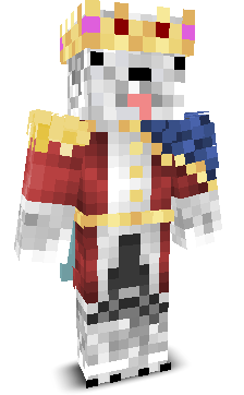 Randomix_23's skin