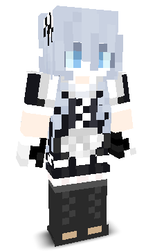 n1wq1's skin