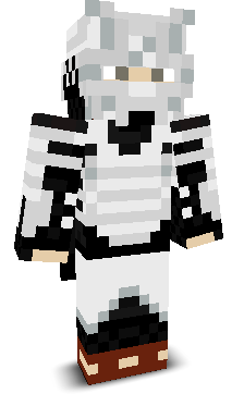 Ironbot1218's skin