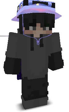 vestappen's skin