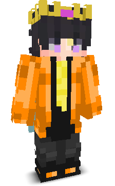 vai1bhav's skin