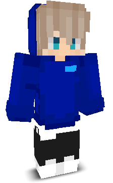 Robinator9047's skin