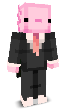 zeebsarecool's skin