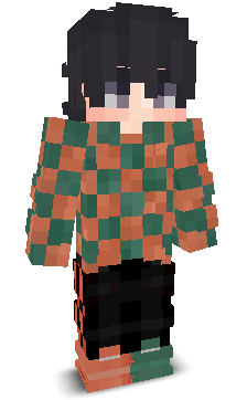 Niklas_554's skin