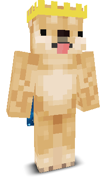 ACupOfRamen's skin