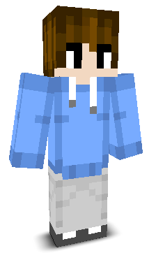 WhizMC's skin