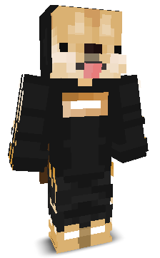Mateuszek_'s skin
