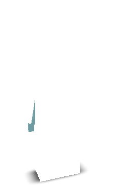 Sasaisme's skin