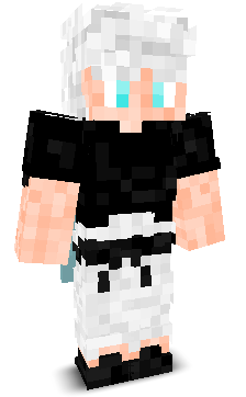 YP_Gaming's skin
