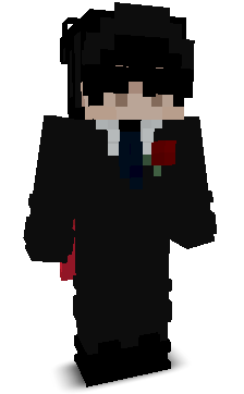 ReV0Ze's skin