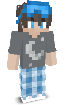 Wintendo1's skin