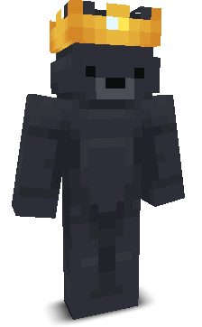 matthias765lt's skin