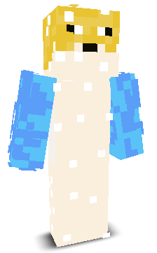 puuk4tto's skin