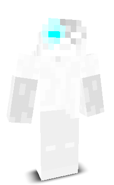 iiMONT's skin