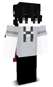 iflywhenv's skin