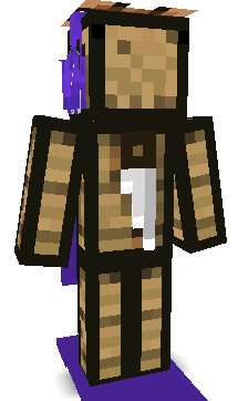 Develepor's skin