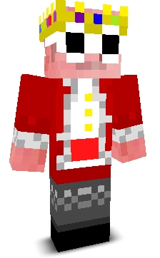duduninjatech's skin