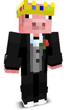 Techn4blade's skin