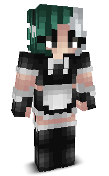 TASenjoyer's skin