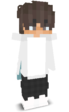 WindedFlyer2961's skin