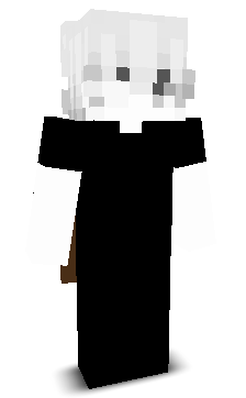 Ignitionnz's skin